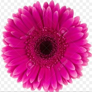 Meet your Posher, Mariana